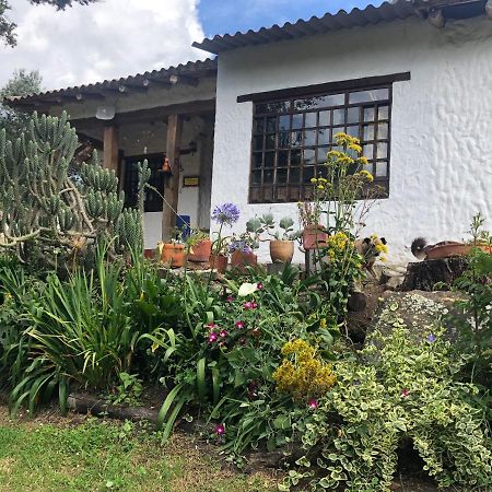 Vila Finca El Pedregal Guatavita Exteriér fotografie